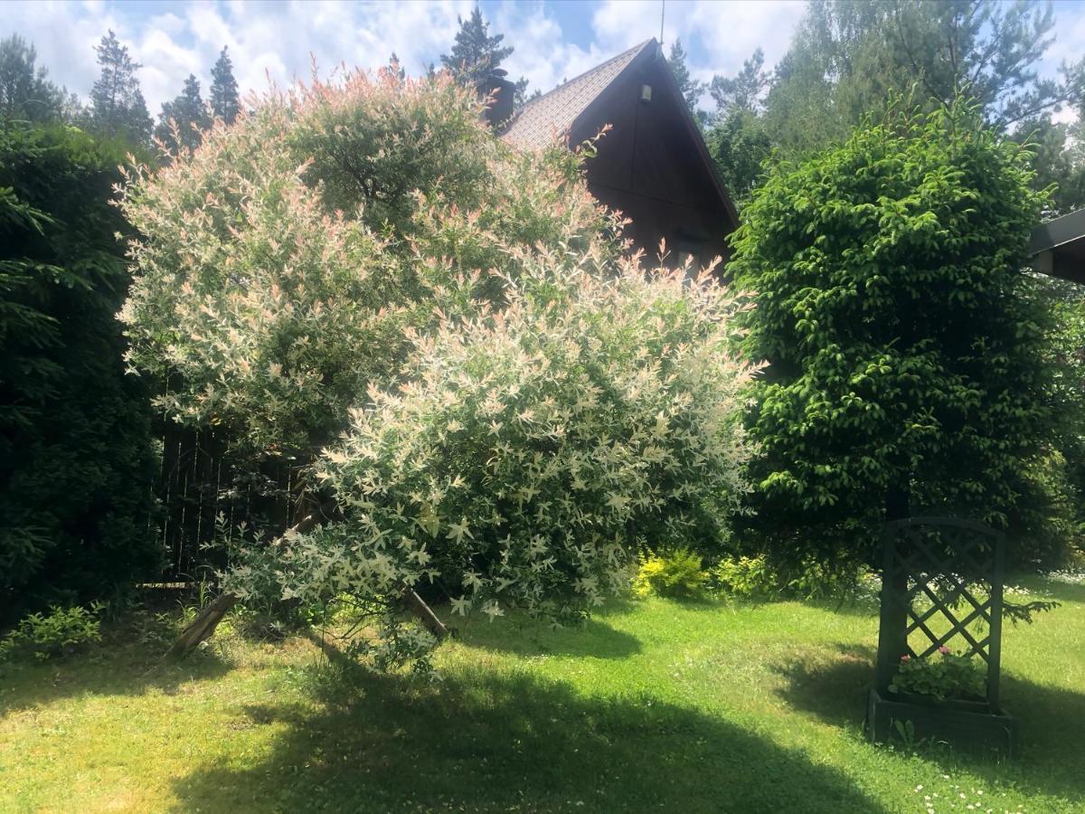 Dom Z Bali Villa Bajkowy Dom Dzwierzuty Екстериор снимка